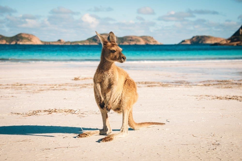 Lo mejor de Australia - Travel and Dream