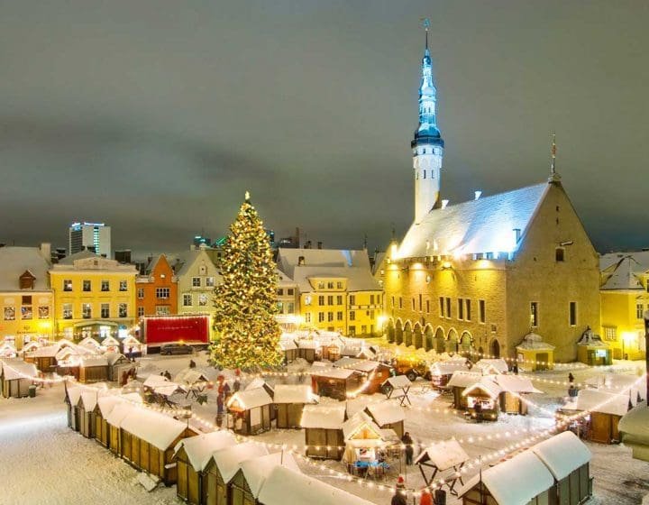 TALLIN MERCADILLOS NAVIDEÑOS