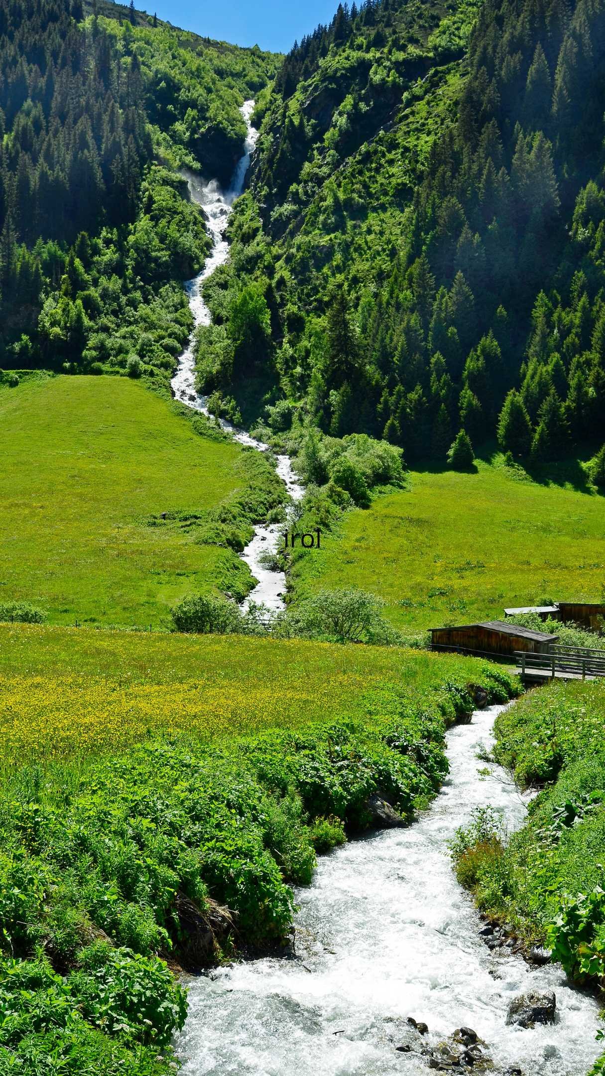 VIAJE TIROL AUSTRIA FAMILIA